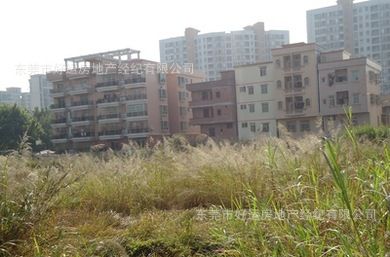 广东地皮 土地出售东莞寮步地皮出售